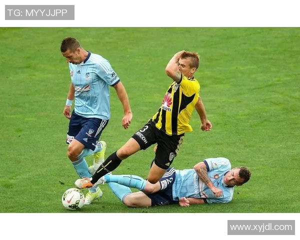 2017年西悉尼对阵惠灵顿精彩赛事回顾与分析